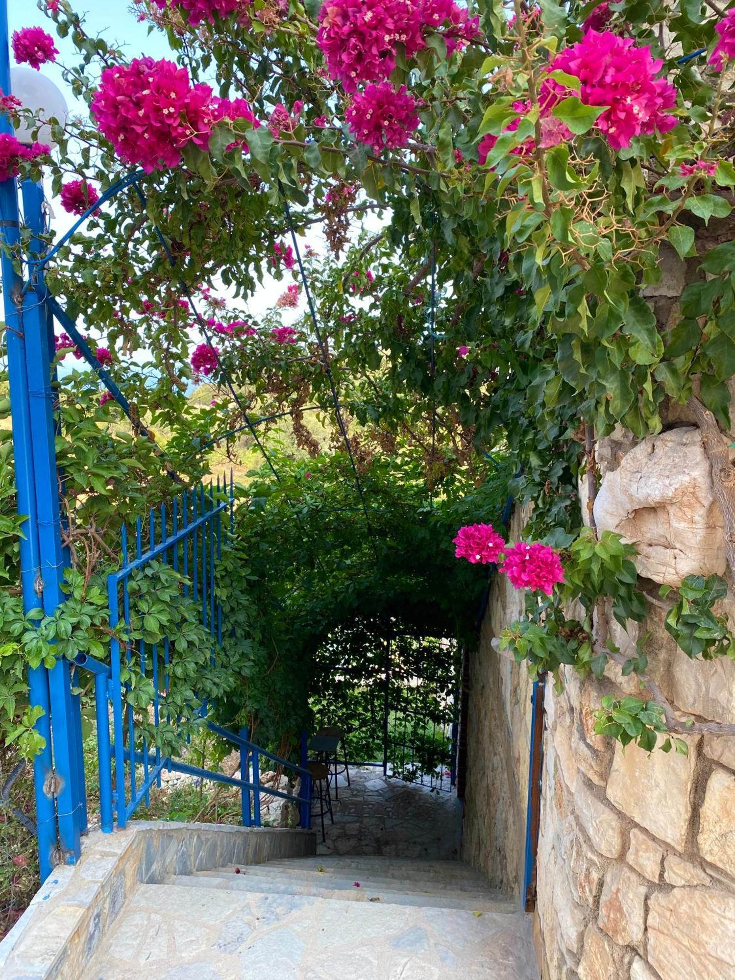 Itaka Summer Rooms Lukova Εξωτερικό φωτογραφία